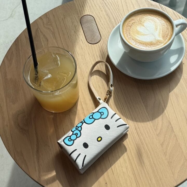 【付録最速レビュー♪】みずいろハローキティのマルチケースを使ってみた!【mini5月号】